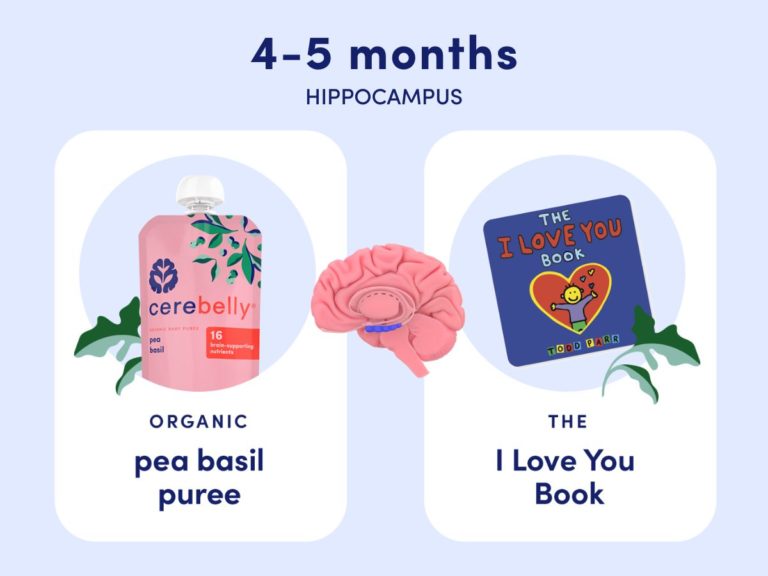 4-5 months hippocampus, pea basil, the I love you book