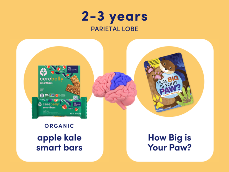 apple kale smart bars and how big is your paw book