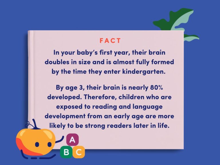 brain-development-and-reading